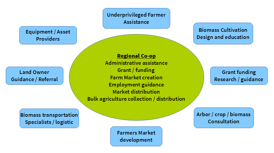 Diagram of Regional Co-op structures